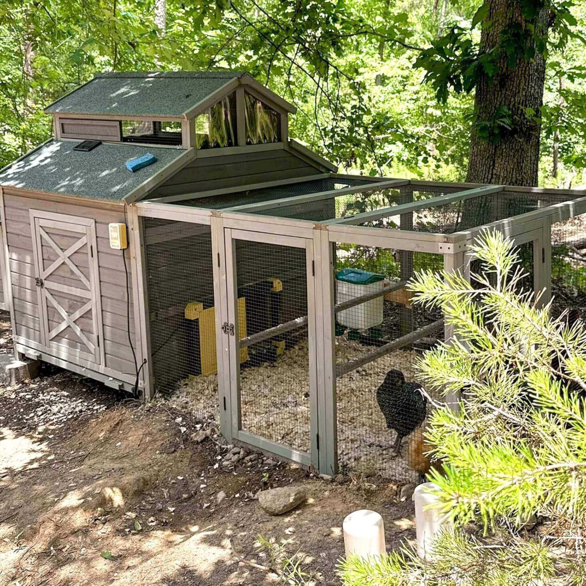 Large 115-Inch Portable Chicken Coop With Run And Nesting Boxes [8-10 Chickens] (SAK18263) - Image 3